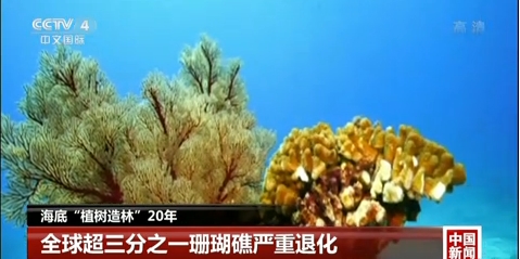 360桌面截图20171031124100.jpg